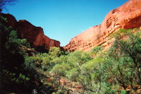 King's Canyon from the bottom of the gorge