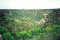 Shothole Canyon, Cape Range