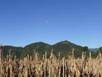 The corn fields along the crater rim