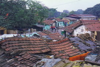 Roofs of Calcutta