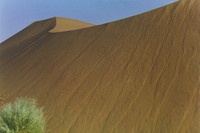 Desert dunes with interesting texture
