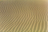 Desert dunes that look like a beach