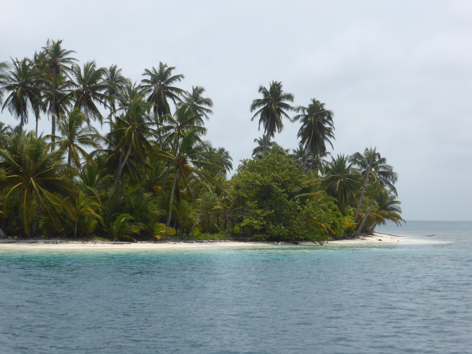 One of the palm-fringed islands of the Cayos Holandeses