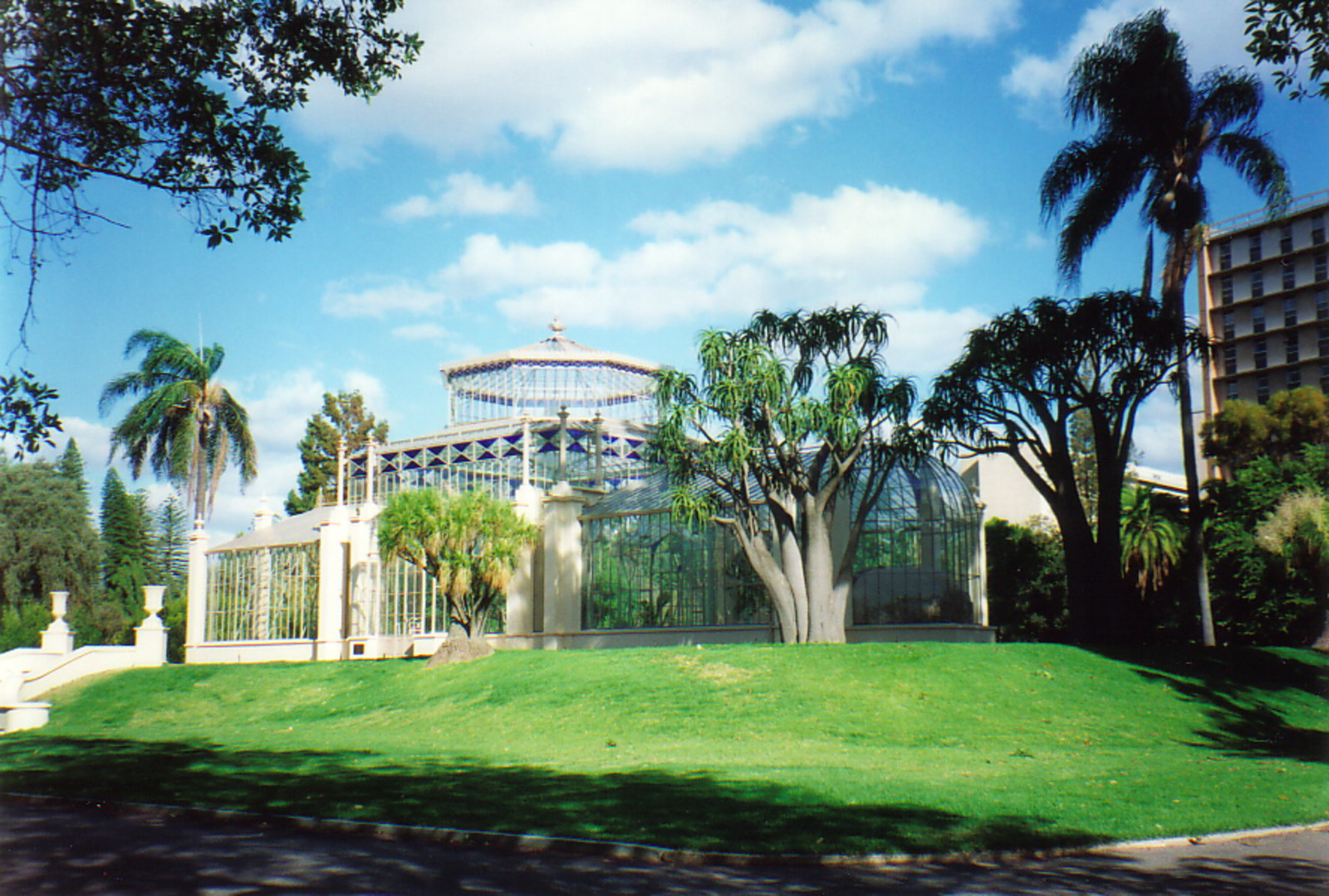 Adelaide's pretty botanic gardens