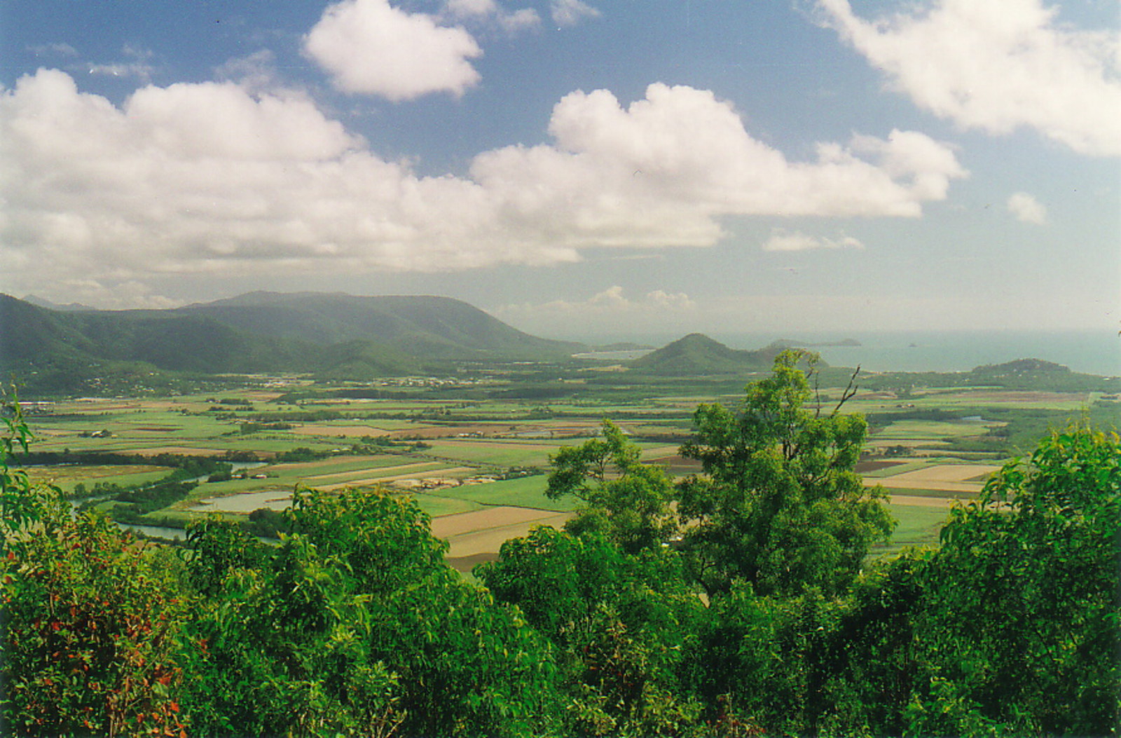 The view north from Mt Lumley Hill in Mt Whitfield Environmental Park