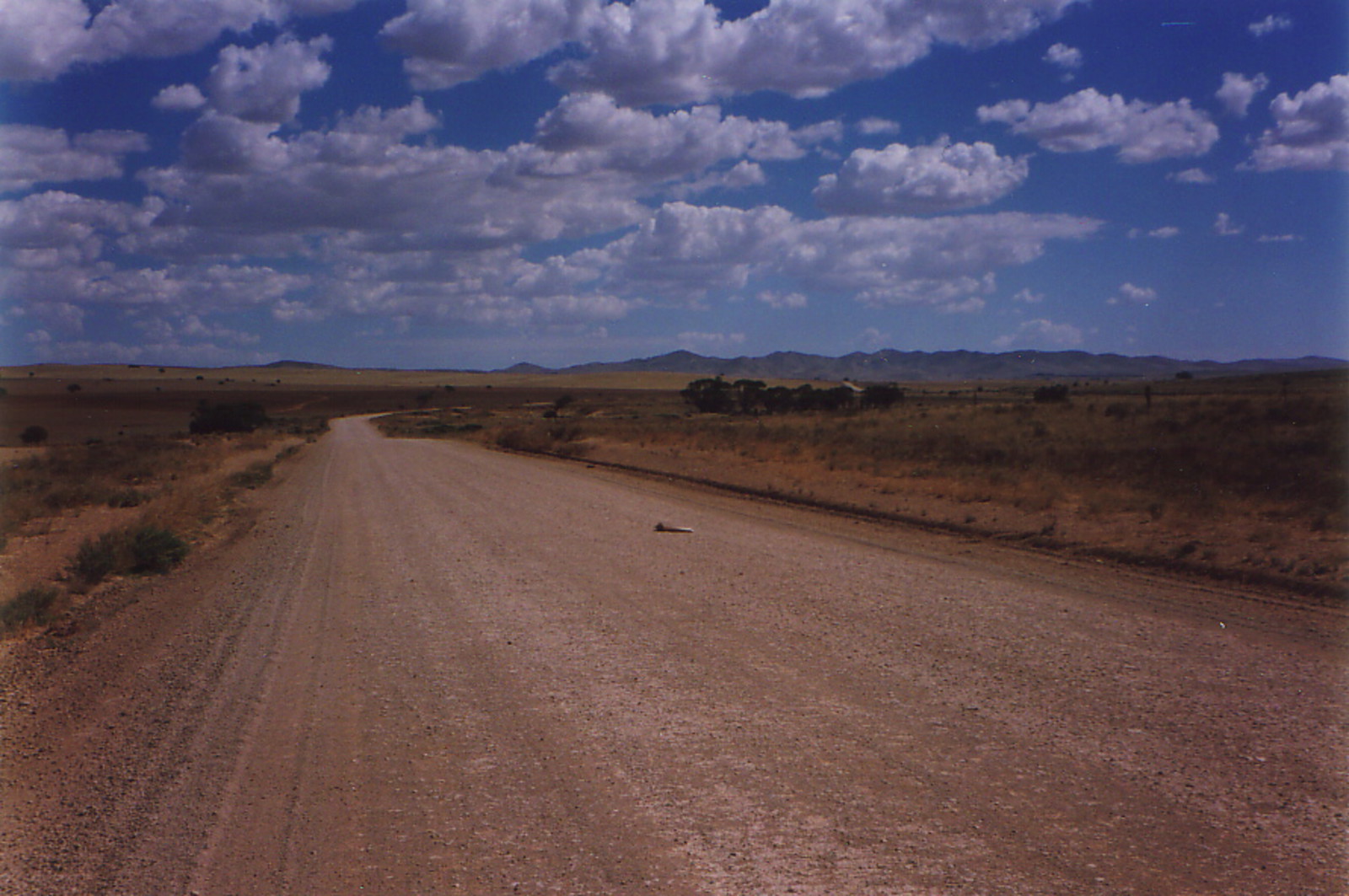 The road to the Flinders Ranges