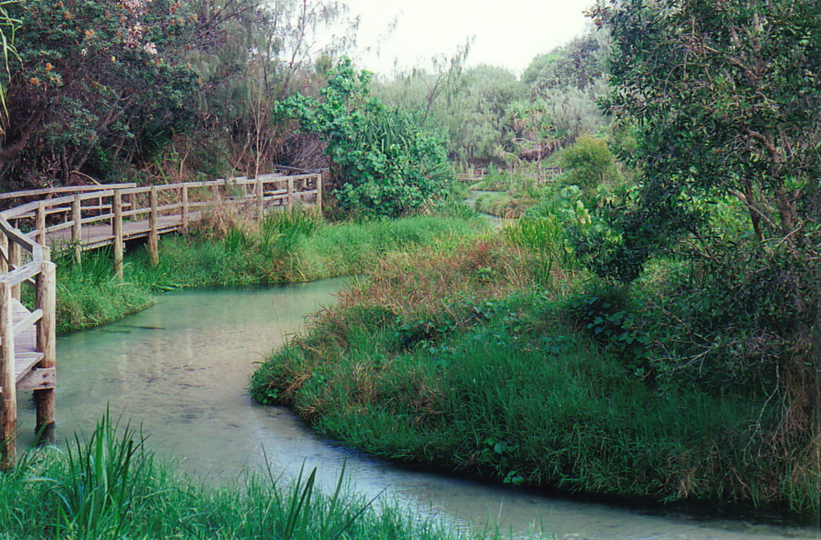 Eli Creek