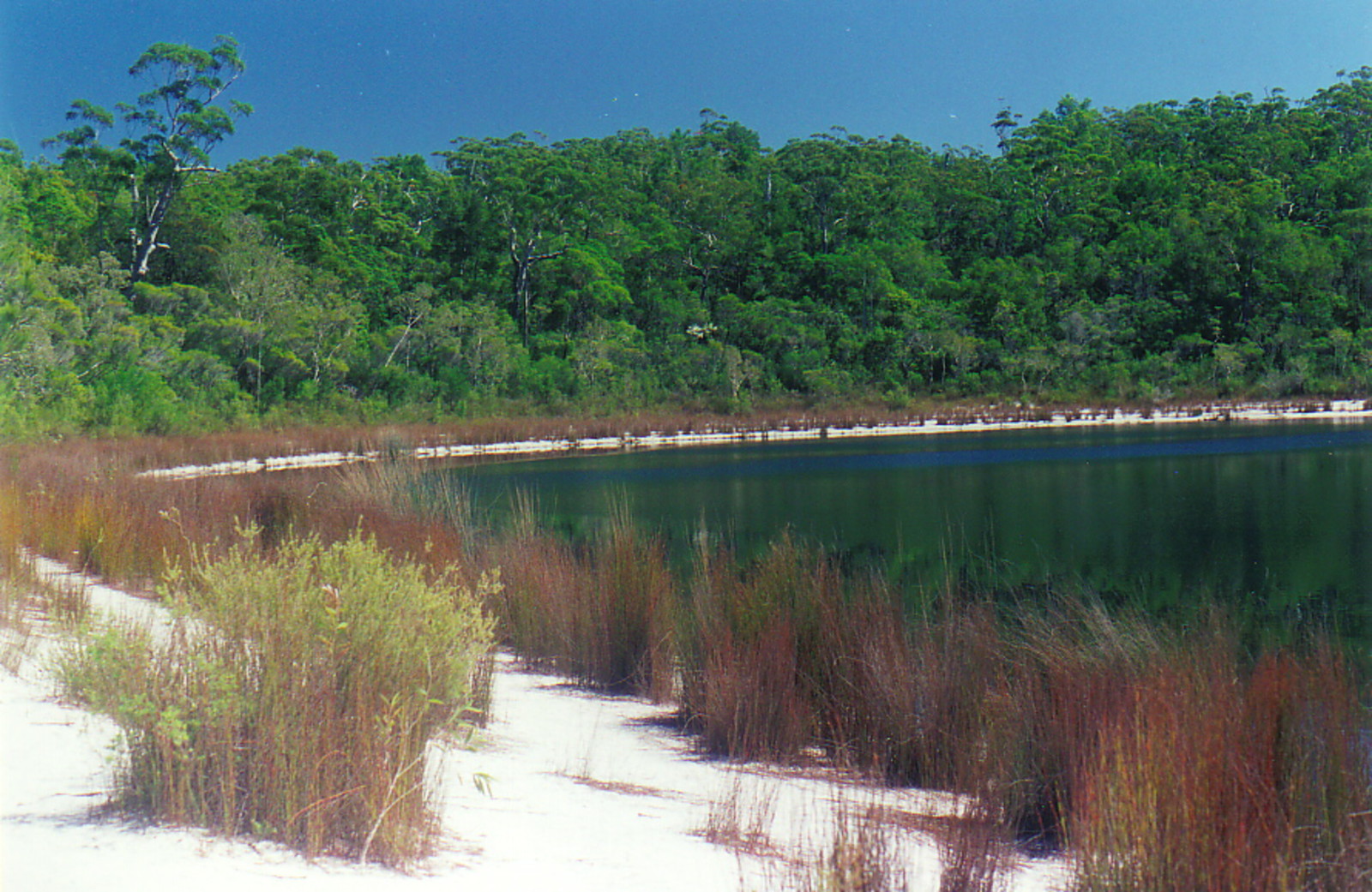 Basin Lake