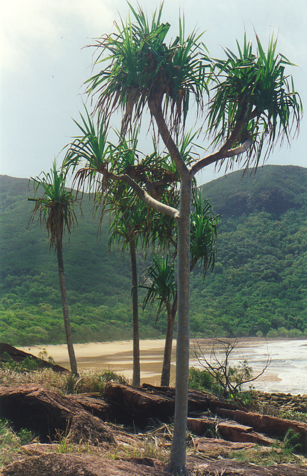 Sunken Reef Bay