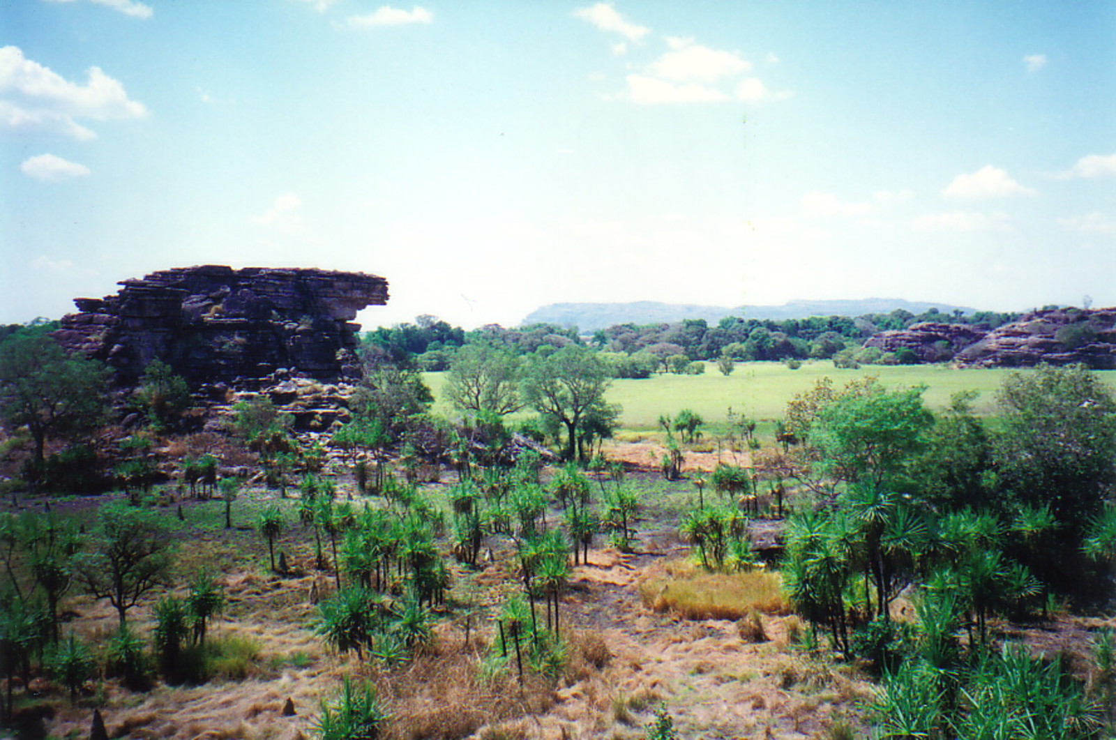 The view from Ubir