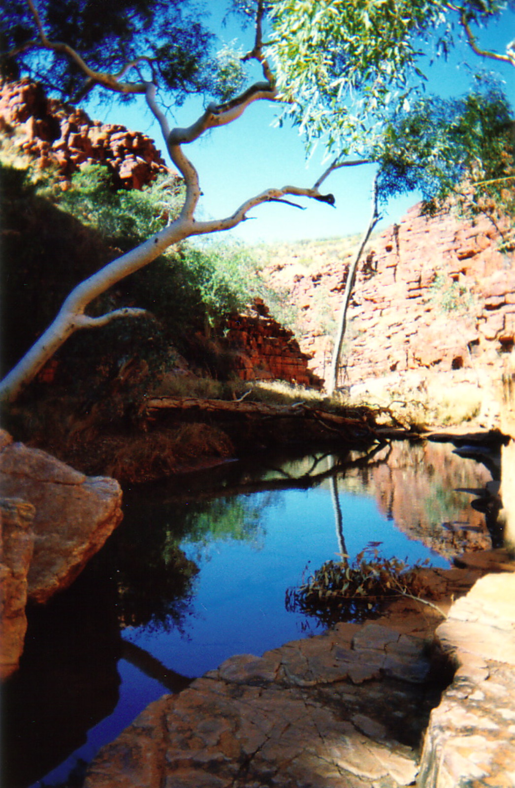 John Hayes Rockhole