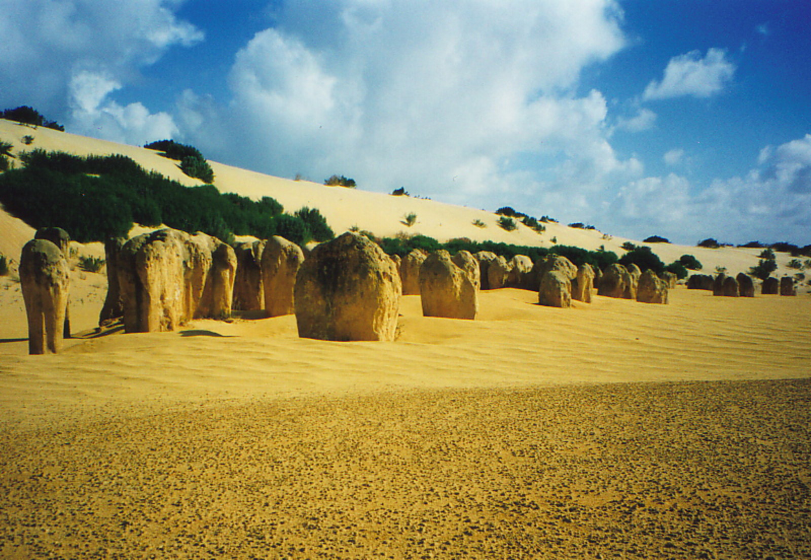 A collection of limestone stacks