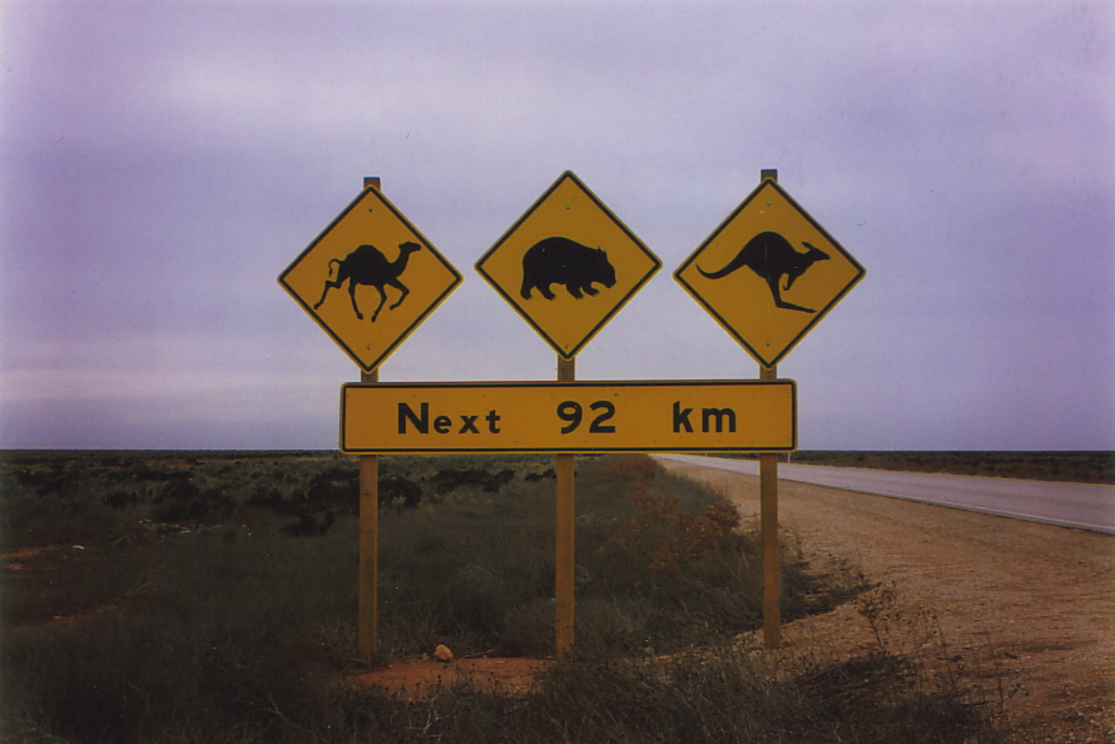 A warning sign for camels, wombats and kangaroos