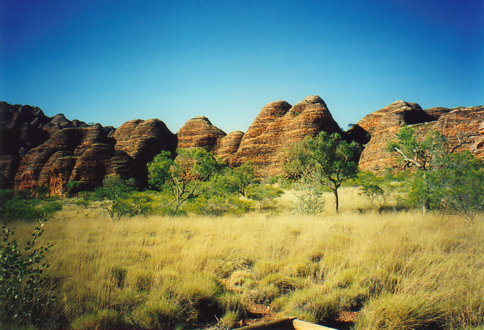 The beehives of Purnululu