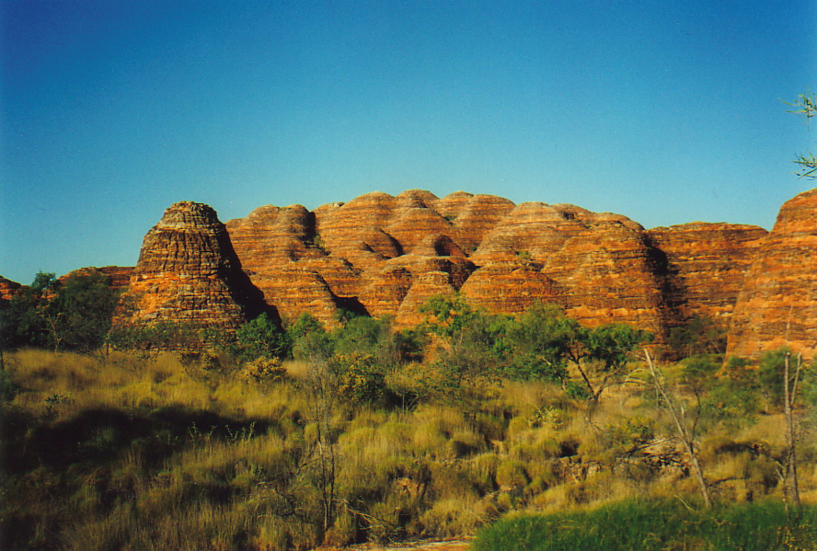 The beehives of Purnululu