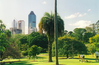 Brisbane's botanic gardens