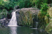 Crystal Cascade, Cairns