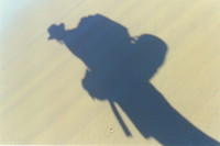 Mark's shadow on Seventy-Five Mile Beach