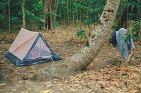 The campsite at Zoe Bay