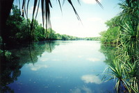 Mardugal Billabong