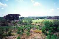The view from Ubir