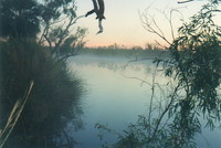 Dawn over Fortescue River