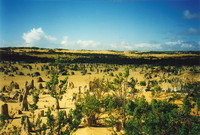 The Pinnacles Desert