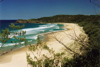 Alexandra Beach, Noosa