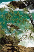 Hell's Gates, Noosa