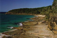 Tea Tree Bay, Noosa