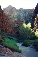 A shot of the inside of the beehives, Purnululu