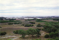 The gentle landscape of Rottnest Island