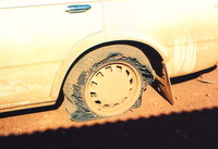 A shredded tyre