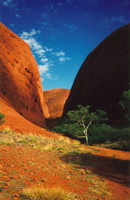 A valley in Kata Tjuta