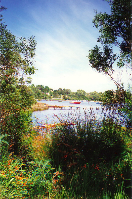 The harbour at Strahan