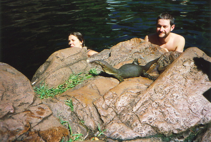 A water monitor