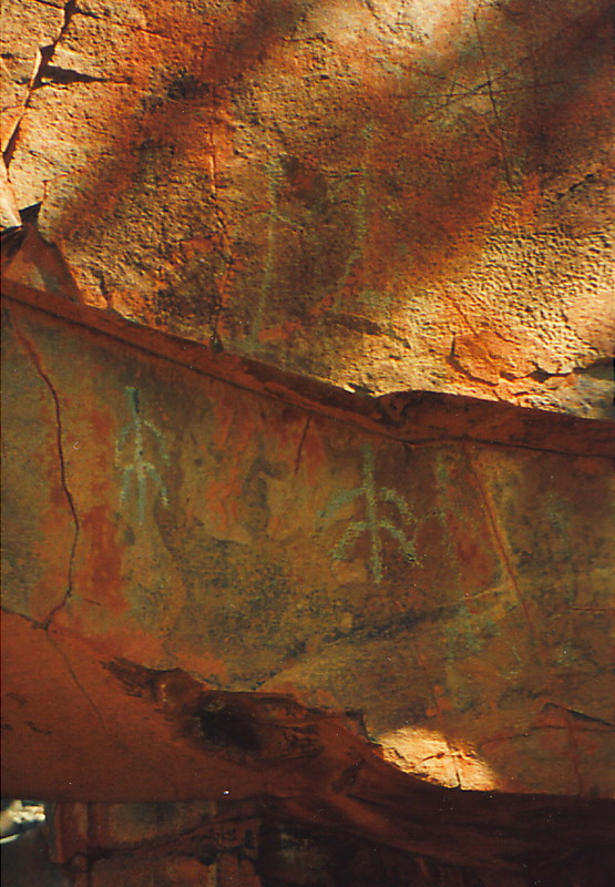 Aboriginal rock art near the George River