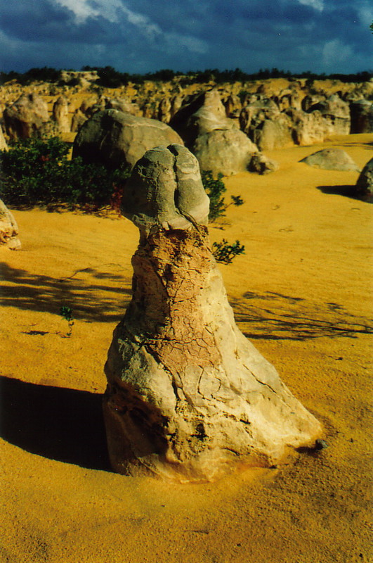 A phallic pinnacle from Nambung