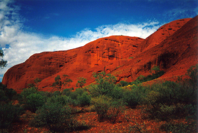 A close-up of Kata Tjuta