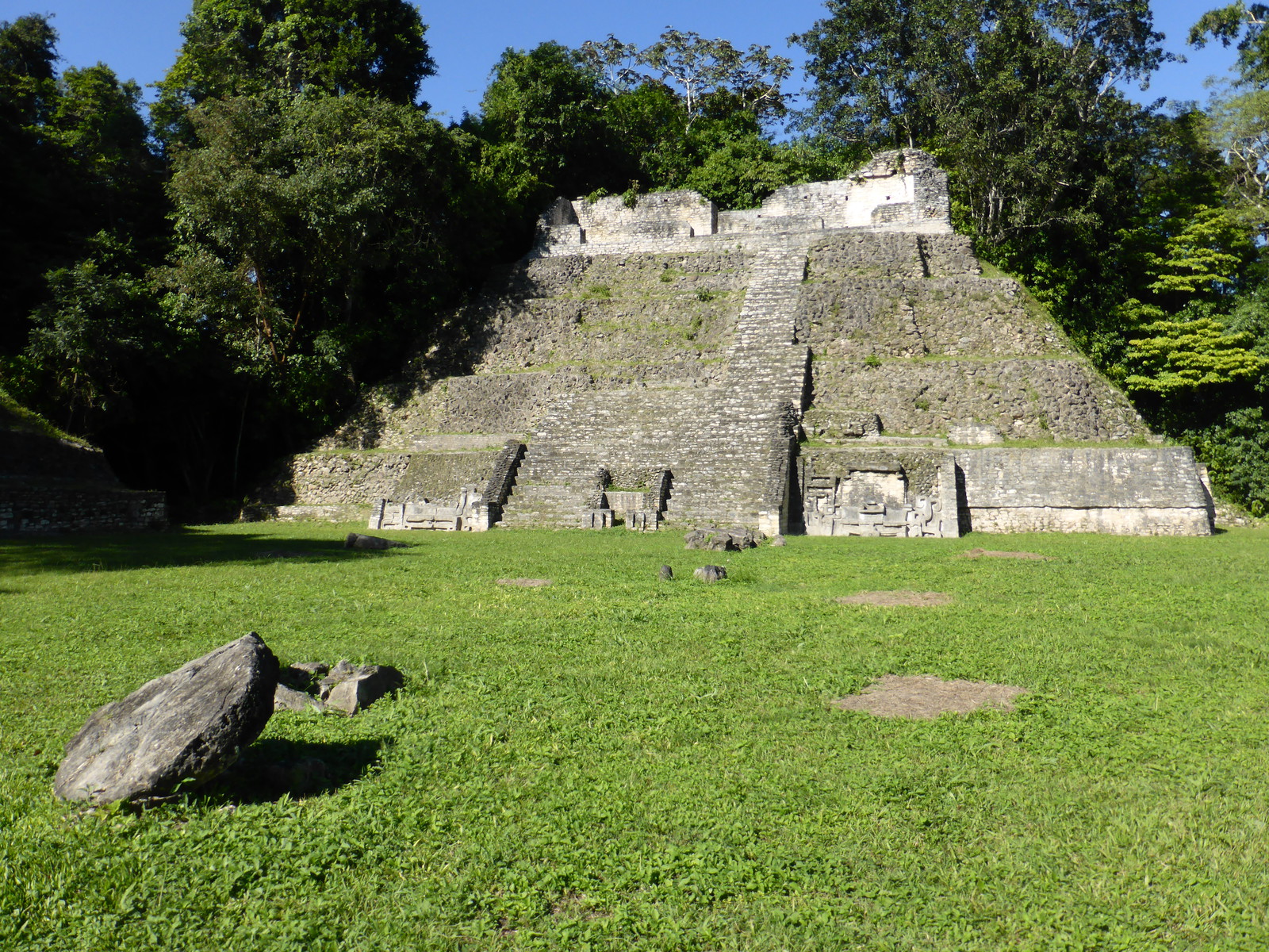 The rainforest encroaching on a temple in plaza A