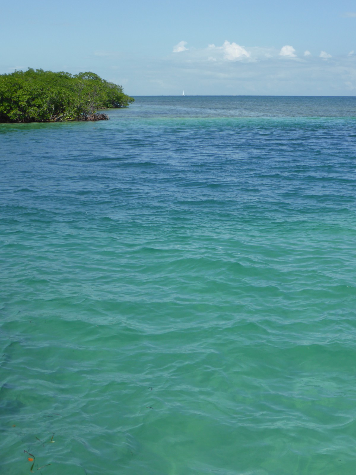 Looking towards Ambergris Caye from the Split