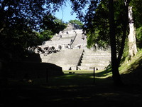 The main pyramid peeking through the trees