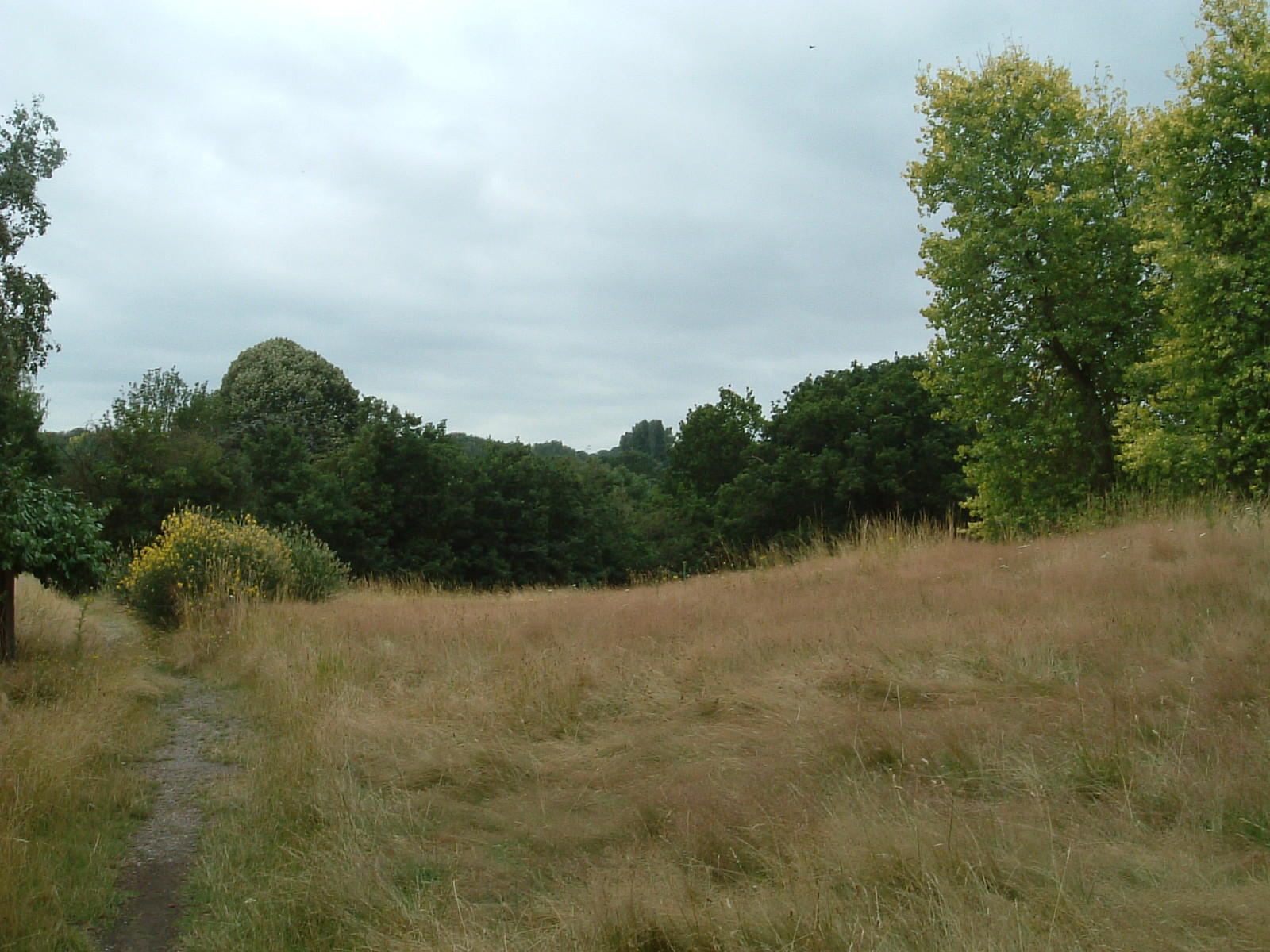 The entrance to Maryon Wilson Park