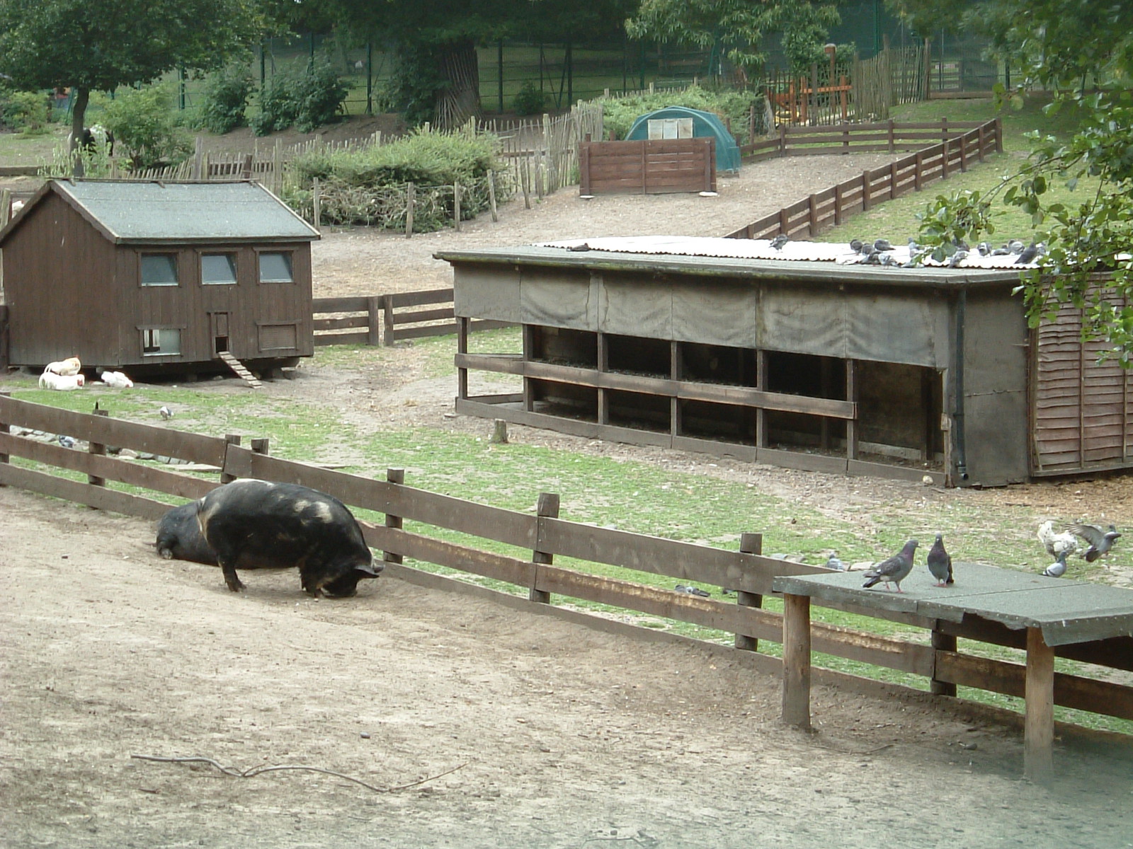 The children's farm in the middle of Maryon Wilson Park