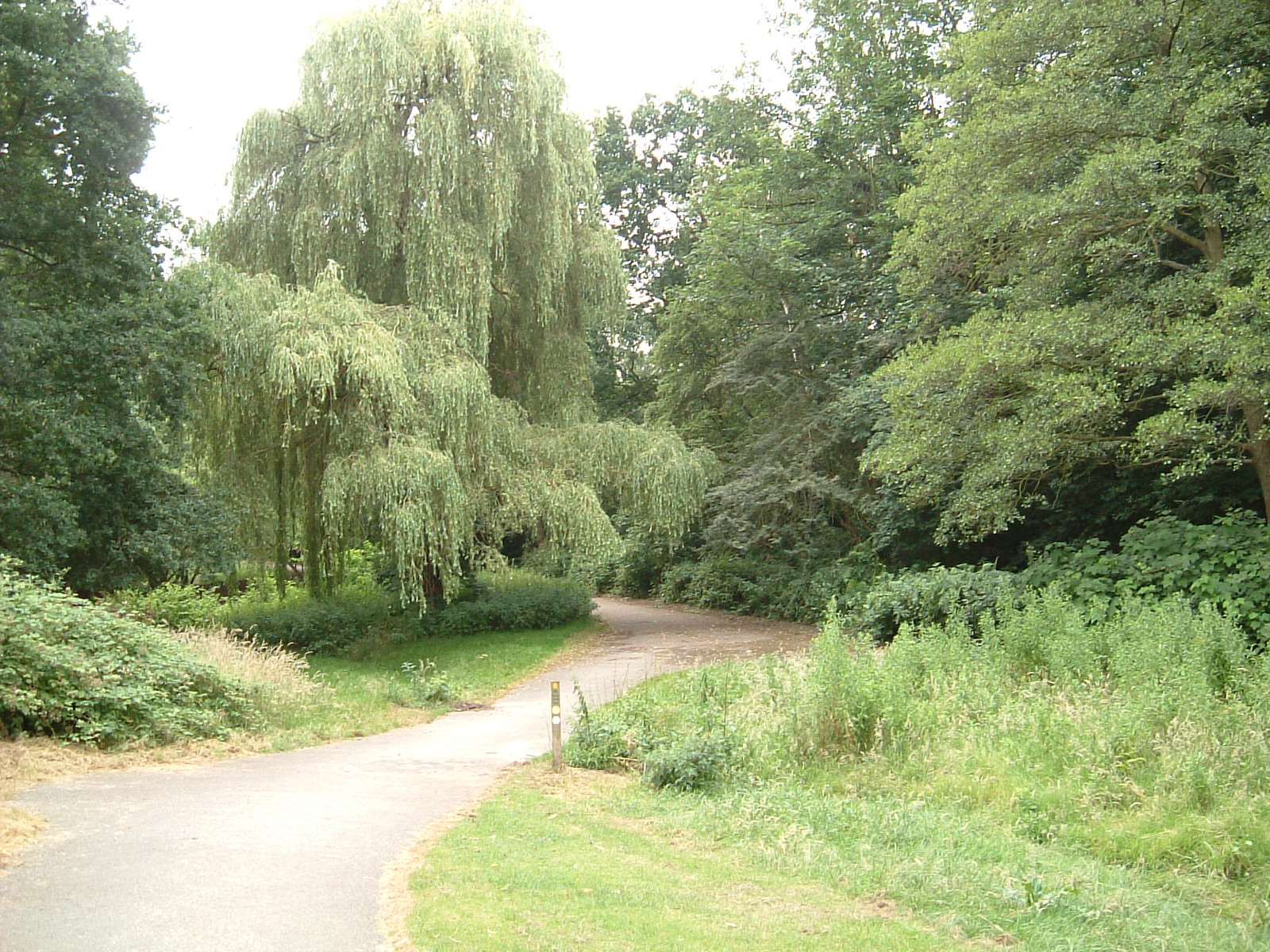 Maryon Wilson Park