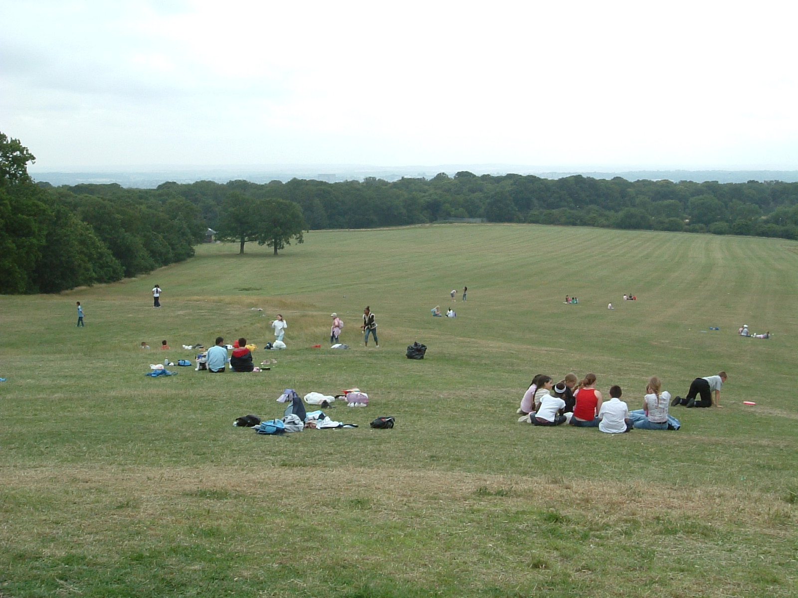 View from the Jackwood café over southeast London