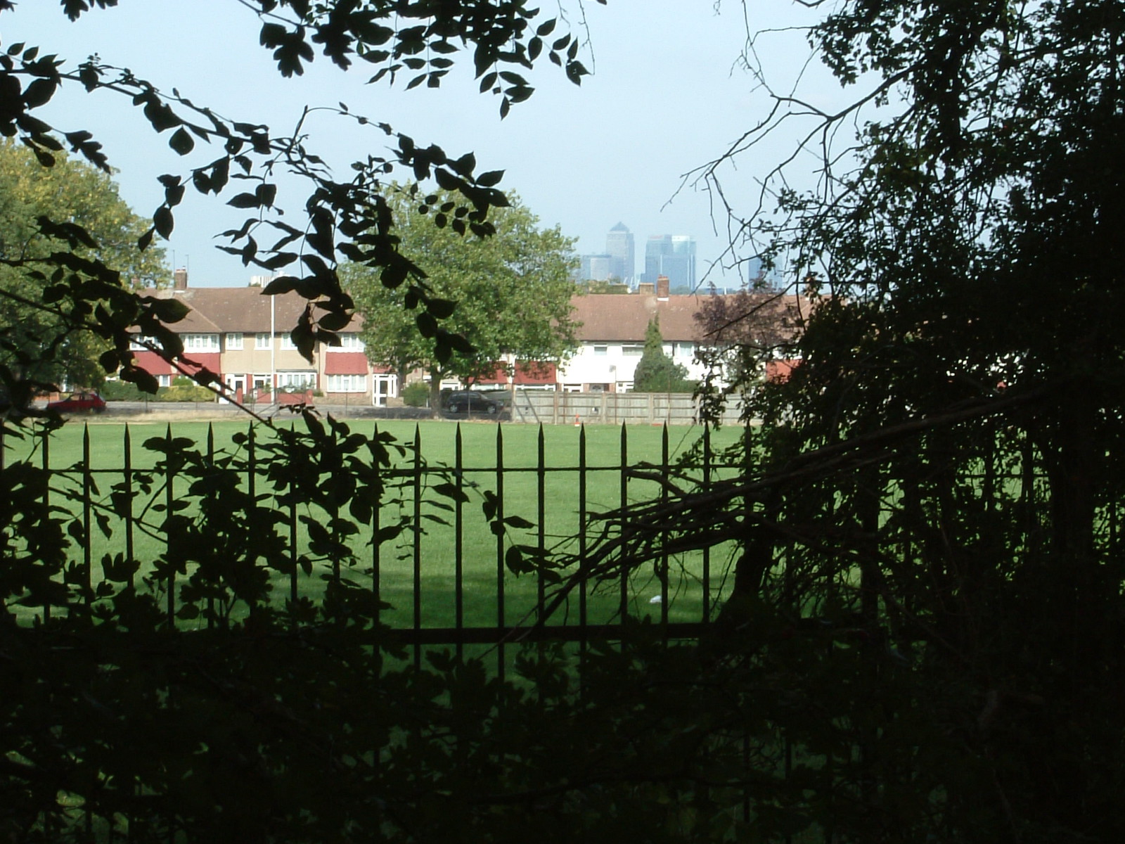 Canary Wharf from the Downham Woodland Walk