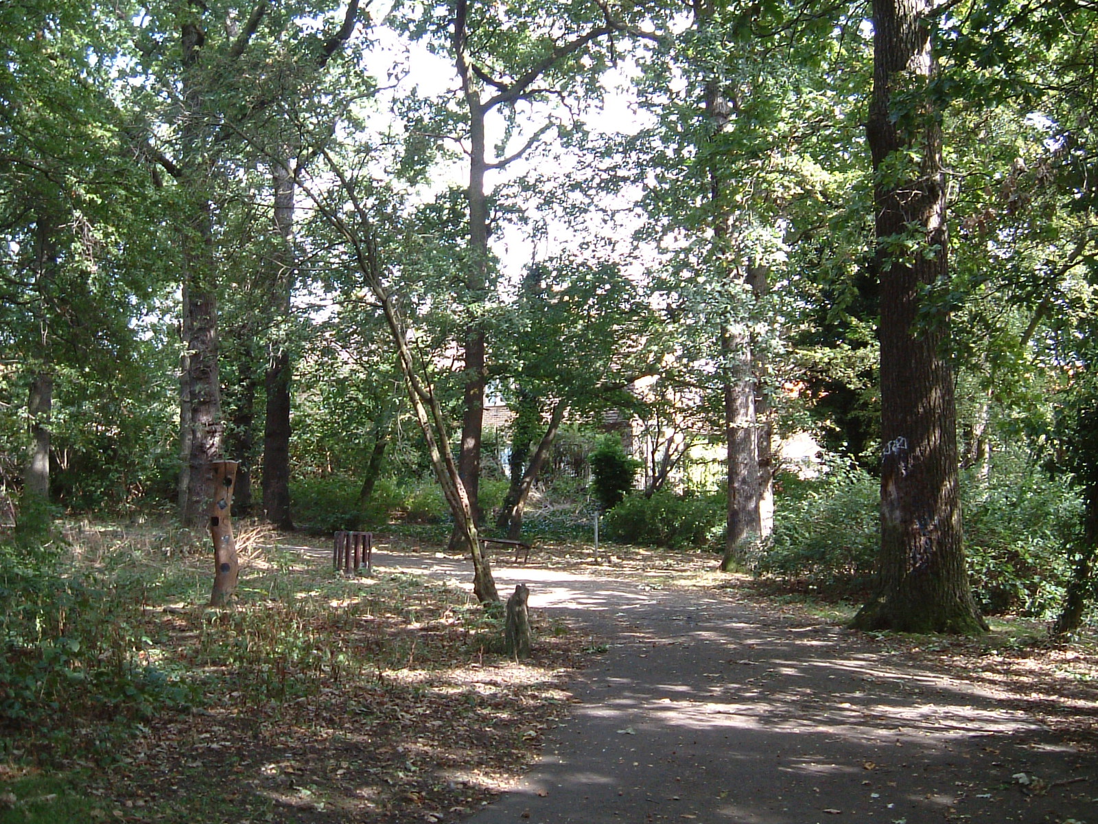 The Downham Woodland Walk