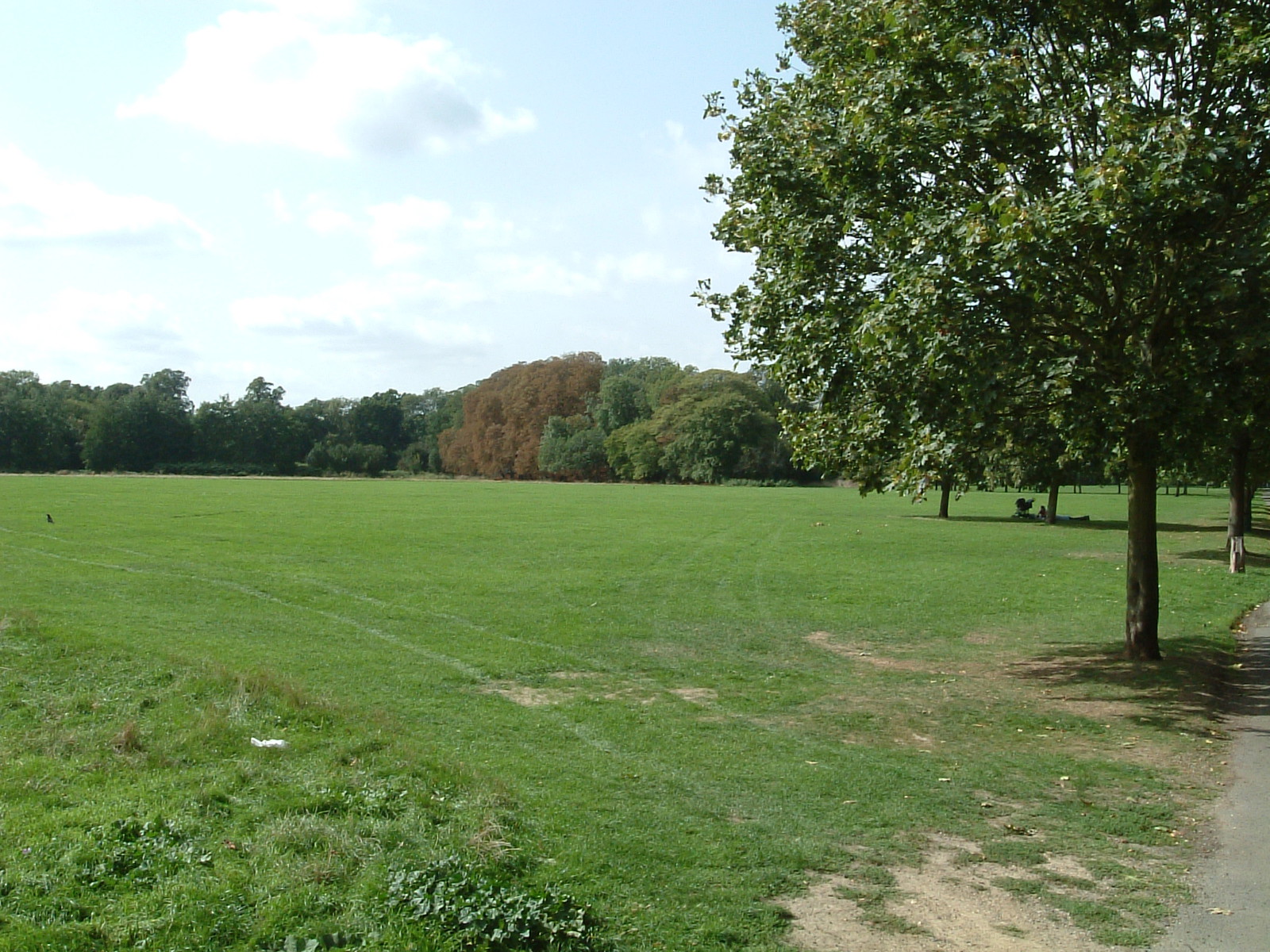 Entering Beckenham Place Park