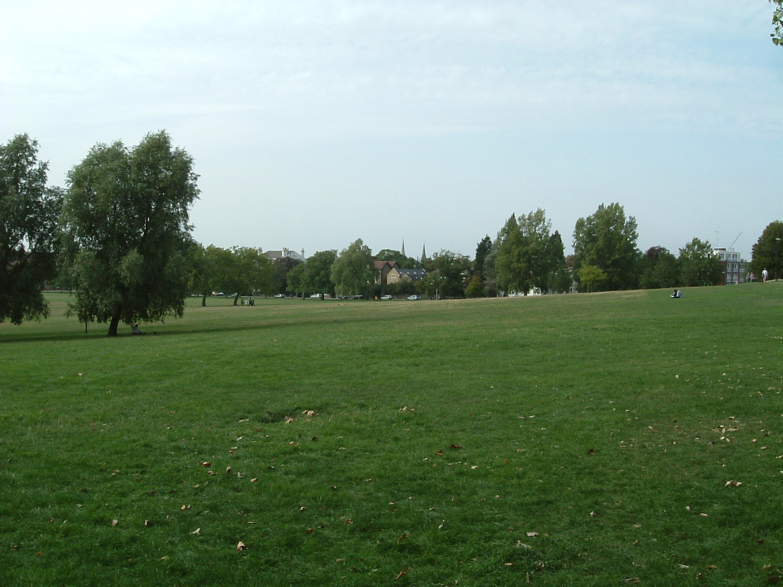 Streatham Common